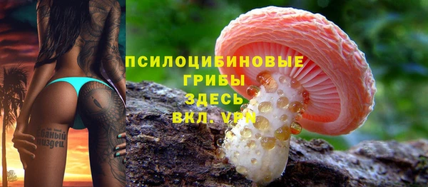 шишки Алзамай