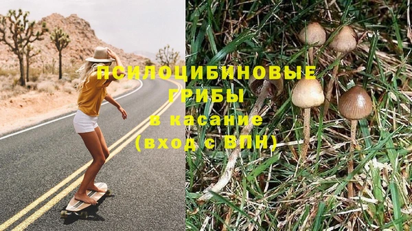 шишки Алзамай
