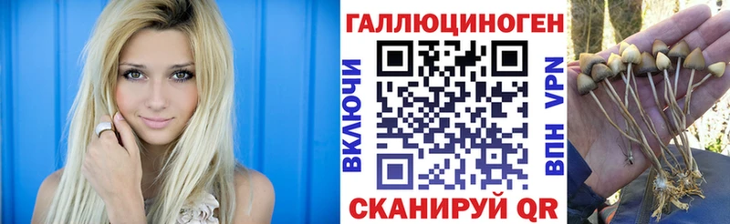 Псилоцибиновые грибы MAGIC MUSHROOMS  Багратионовск 